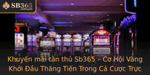 Khuyen Mai Tan Thu Sb365 Co Hoi Vang Khoi Au Thang Tien Trong Ca Cuoc Truc Tuyen